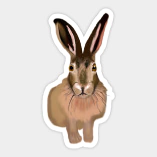 Cute Hare Drawing Sticker